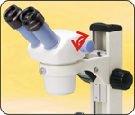 TS-40体视显微镜