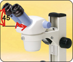 TS-40体视显微镜
