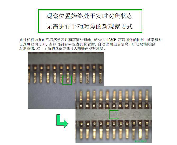 HDMI-200ZD 自动对焦相机 摄像头 CCD HDMI高清摄像头 实时对焦