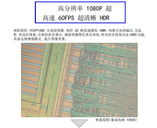 HDMI-200ZD 自动对焦相机 摄像头 CCD HDMI高清摄像头 实时对焦