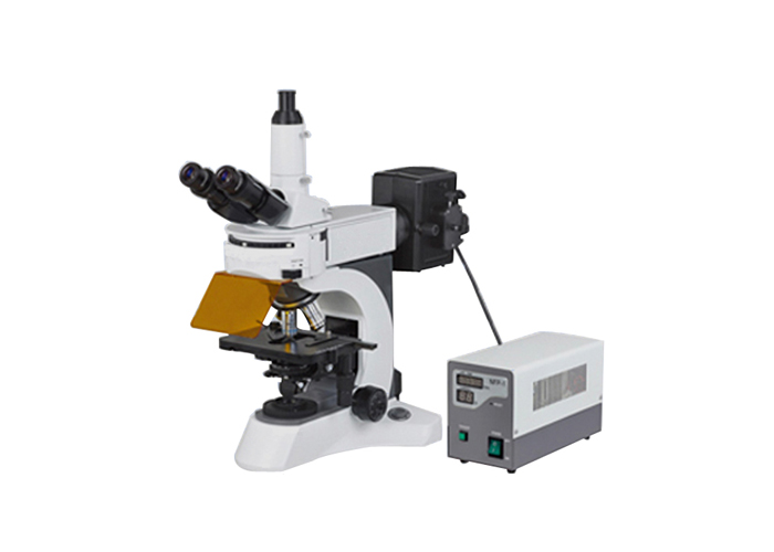 YG-800实验室荧光显微镜 临床诊断、教学实验、病理检测