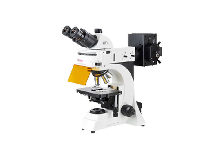 YG-41 荧光显微镜 细胞荧光染色观察