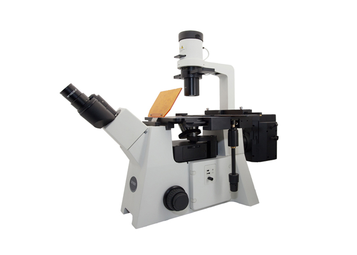 YG-50 荧光显微镜 细胞荧光染色观察