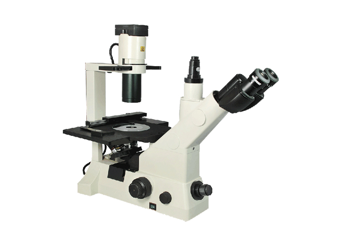 SW-1000 倒置生物显微镜 适合大培养皿 流质沉淀半透明物体粉末