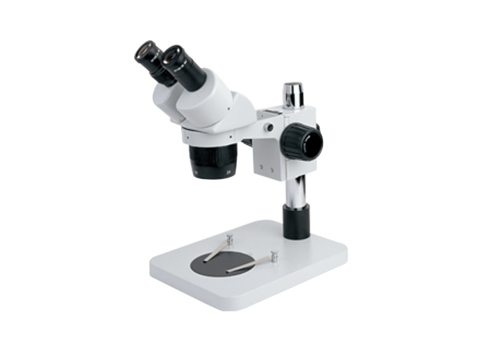 如何使用显微镜呈现清晰的像
